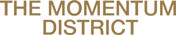 logo The Momentum